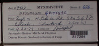 Image Associated With the Occurence